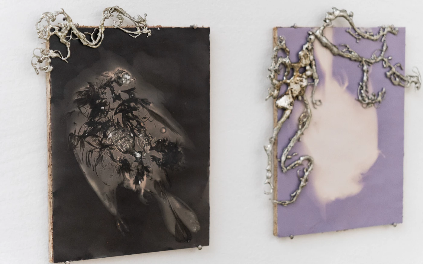 A Magyarság Háza Galériájában erdélyi és vajdasági fiatal képzőművészek állítanak ki .